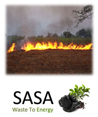 sasa1